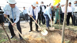 Thủ tướng gửi thư khen Bến Tre hưởng ứng trồng cây