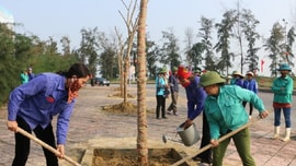 Nghệ An: “Tết trồng cây” Xuân Tân Sửu 2021 cấp tỉnh được tổ chức ở quê Bác Hồ