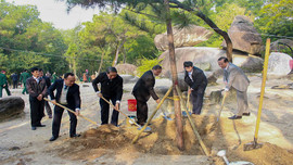 Kế hoạch tổ chức Tết trồng cây xuân Tân Sửu năm 2021 tại các huyện, thị xã, thành phố Thanh Hóa