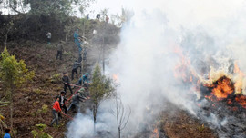 Lào Cai: Tăng cường công tác bảo vệ và phòng chống cháy rừng