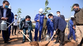 Bộ TN&MT phối hợp với TP Hà Nội phát động “Tết trồng cây đời đời nhớ ơn Bác Hồ Xuân Tân Sửu 2021”