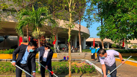 Đà Nẵng: Phát động Tết trồng cây, xây dựng “Thành phố môi trường”