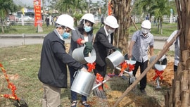 Bệnh viện Trung ương Huế phát động “Tết trồng cây” đầu Xuân Tân Sửu 2021