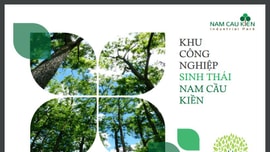 KCN Nam Cầu Kiền (Hải Phòng): Sẽ trồng 1 triệu cây xanh ngay trong năm 2021