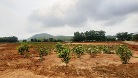 Nông Cống - Thanh Hoá: Siết chặt công tác bảo vệ môi trường đối với mỏ đất