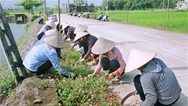 Nhân rộng mô hình “Đường cây phụ nữ”