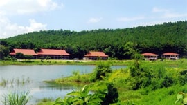 Bảo tồn hệ sinh thái rừng nguyên sinh "đẩy" du lịch phát triển