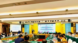 Tác động và ứng phó đại dịch COVID-19: Thực trạng tiếp cận chính sách của khu vực hợp tác xã Việt Nam