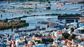 Lá phổi xanh giữa lòng thành phố