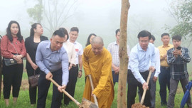 Nghệ An: Tổ chức lễ trồng cây chương trình “Chùa xanh” tại chùa Đại Tuệ