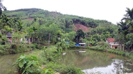 Đất vườn, ao chỉ được đền bù bằng giá đất nông nghiệp