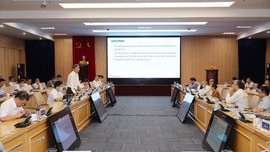 EVN  giải tỏa cơ bản công suất các dự án năng lượng tái tạo đã vào vận hành 