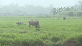 Thanh tra Bộ TN&MT yêu cầu Thái Nguyên báo cáo việc đấu giá dự án "trên giấy"