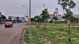 Nghệ An: Tăng cường chấn chỉnh nạn “sốt” đất ảo