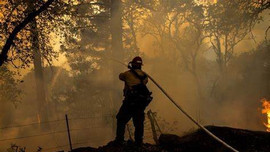 Thống đốc California kêu gọi ngân sách 2 tỷ USD chuẩn bị ứng phó cháy rừng