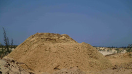 Bình Định: Yêu cầu tổ chức kiểm điểm, làm rõ trách nhiệm vụ khai thác cát trái phép tại xã Cát Thành 
