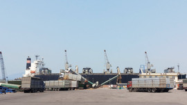 Phòng chống dịch, đảm bảo lưu thông hàng hóa và bảo vệ môi trường tại cảng Chân Mây