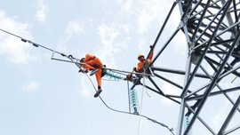 Tiêu thụ điện tuần đầu tháng 8/2021 tăng 25% so với cùng kỳ