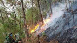 Nghệ An: Nắng nóng gay gắt, liên tiếp xảy ra cháy rừng
