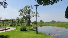 Nguyên tắc căn bản trong định giá đất