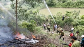 Ninh Bình chủ động phòng, chữa cháy rừng mùa cao điểm