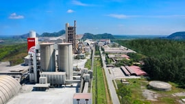 INSEE Việt Nam – Hiện thực hóa mục tiêu phát triển thân thiện với môi trường