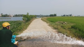 Thừa Thiên Huế: Thiếu nước sản xuất do nắng nóng kéo dài
