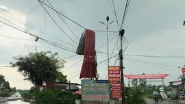 Thái Bình: Tập trung khắc phục hậu quả từ cơn bão số 2