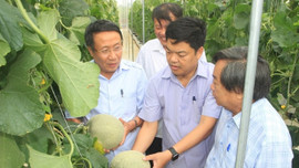 Quảng Trị sẽ có huyện nông thôn mới kiểu mẫu đầu tiên trước năm 2025