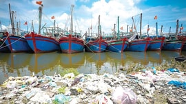 Bài dự thi “Cùng giữ màu xanh của biển” - Rác thải từ biển: Hãy hành động vì môi trường