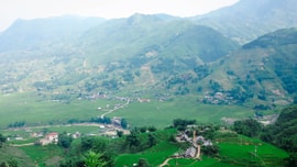 Trên những “cung đàn” xanh
