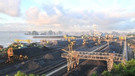 TKV gắn sản xuất với bảo vệ môi trường trong thời dịch COVID-19