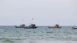 Quảng Ngãi: Điều tra vụ 3 ngư dân tử vong khi đang hành nghề trên biển