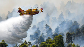 Hàng nghìn người Hy Lạp phải sơ tán do cháy rừng nghiêm trọng 