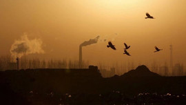 Khử carbon toàn cầu đặt ra thách thức cho các nhà sản xuất thép
