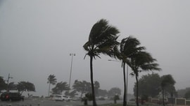 Bão Fred tăng cấp thành bão nhiệt đới, càn quét Florida, Mỹ