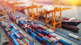 Xuất khẩu hàng hóa giảm mạnh trong nửa đầu tháng 8