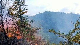 Đà Nẵng: Kịp thời khống chế vụ cháy rừng ở núi Thanh Vinh