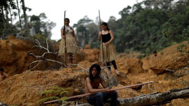 Nạn phá rừng ở Amazon của Brazil chạm mức cao nhất trong một thập kỷ