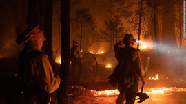 California (Mỹ) đóng cửa khẩn cấp 9 khu rừng quốc gia
