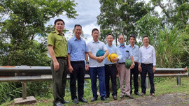 Giáo xứ Bàu Sen tích cực bảo vệ sinh thái vùng đệm Vườn quốc gia  Phong Nha - Kẻ Bàng