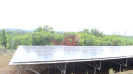 Quảng Nam: Làm điện mặt trời “núp bóng” nông nghiệp công nghệ cao