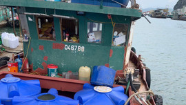 Quảng Ninh: Bắt giữ tàu chở 1.000 lít dầu diesel không rõ nguồn gốc