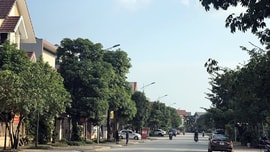 Hợp đồng chuyển nhượng đất có vô hiệu khi không được công chứng?