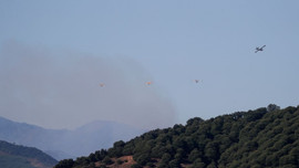 Hơn 1.000 người sơ tán do cháy rừng ở Tây Ban Nha