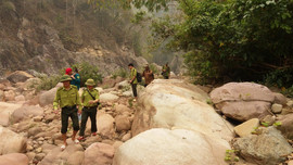 Tăng cường tuần tra bảo vệ rừng ở Khu bảo tồn thiên nhiên Mường Nhé 