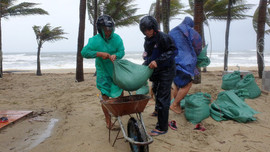 Quảng Nam: Người dân hối hả “gia cố” bờ biển Cửa Đại trước bão