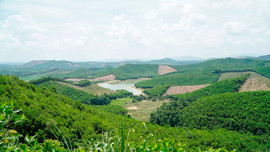Thanh Hóa: Phê duyệt Phương án quản lý rừng bền vững giai đoạn 2021 - 2030 tại huyện miền núi Như Thanh