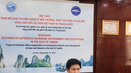 Việt Nam - Trung Quốc: Trao đổi kinh nghiệm quản lý môi trường, sinh thái biển và hải đảo Vịnh Bắc Bộ