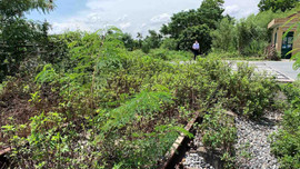 Quảng Ninh: Tuyến đường sắt chuyên dụng “đắp chiếu” nhiều năm, gây lãng phí hàng chục ha đất
